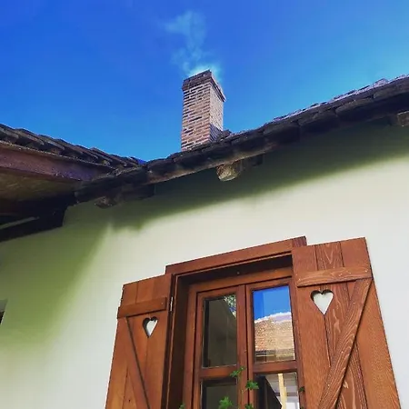 Rudnicki Eko Breg ルーディック