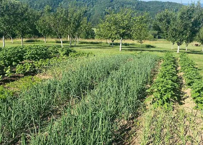 Rudnicki Eko Breg Сasa de vacaciones